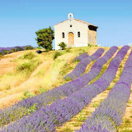 Лучшие цвета ПРОВАНСА!